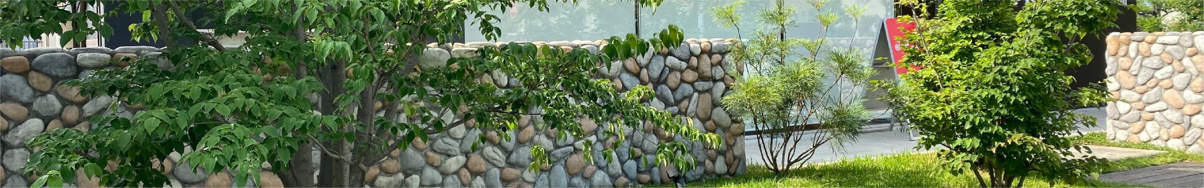 自然石を積み上げた石垣が並ぶ庭の風景